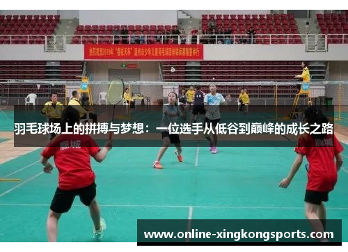 羽毛球场上的拼搏与梦想：一位选手从低谷到巅峰的成长之路