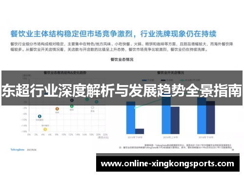 东超行业深度解析与发展趋势全景指南