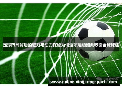 足球热潮背后的魅力与动力探秘为何这项运动如此吸引全球球迷