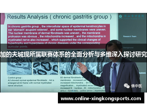 加的夫城现所属联赛体系的全面分析与多维深入探讨研究