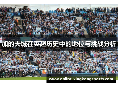 加的夫城在英超历史中的地位与挑战分析