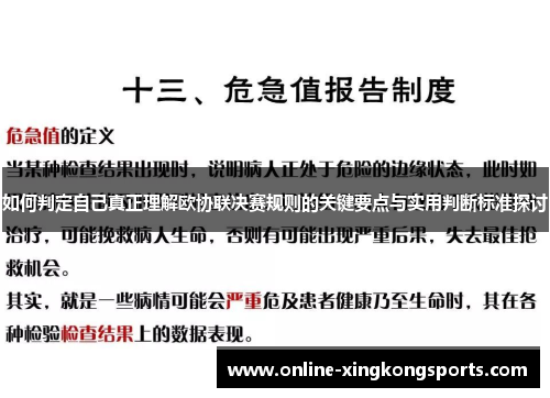 如何判定自己真正理解欧协联决赛规则的关键要点与实用判断标准探讨 如何判定自己真正理解欧协联决赛规则的关键要点与实用判断标准探讨