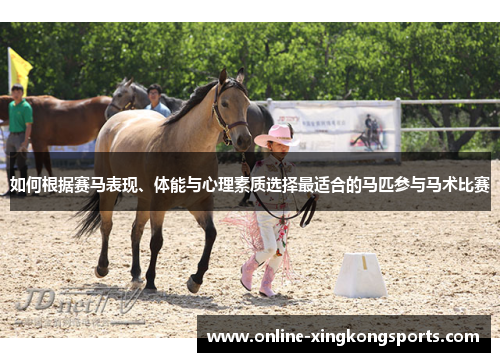 如何根据赛马表现、体能与心理素质选择最适合的马匹参与马术比赛