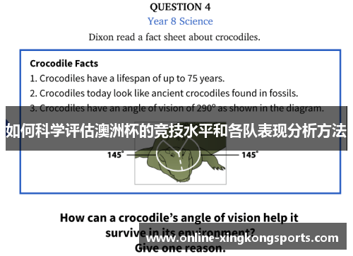 如何科学评估澳洲杯的竞技水平和各队表现分析方法