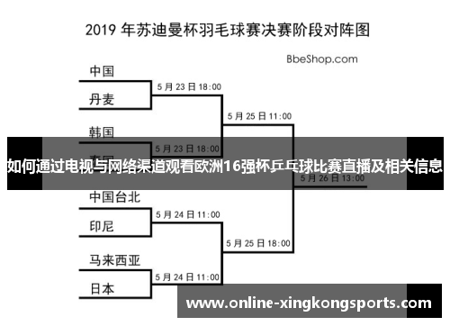 如何通过电视与网络渠道观看欧洲16强杯乒乓球比赛直播及相关信息