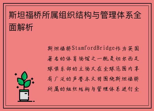 斯坦福桥所属组织结构与管理体系全面解析 斯坦福桥所属组织结构与管理体系全面解析